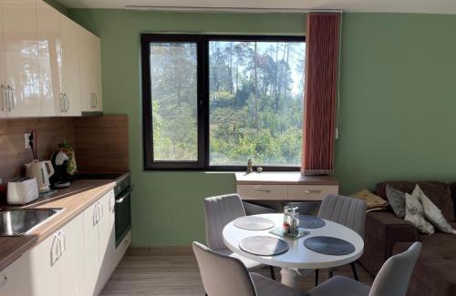 Velingrad Apartment | Nikol Deluxe