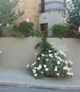 Agia Fyla House | Nikola's House