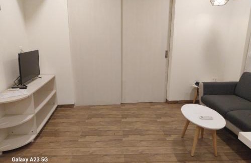 Dumas Apartment | Nirmal Homestay 1