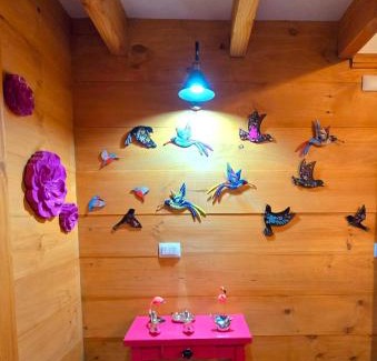 Conaripe House | Nordica D