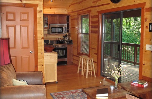 Norfork Cabin | North Fork River—Only Private Cabin on the North Fork River Trophy Waters!