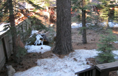 Kings Beach Cabin | North Lake Tahoe Vacation Home