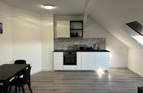 Sonnenberg Apartment | NorthApartments Chemnitz am Stadion