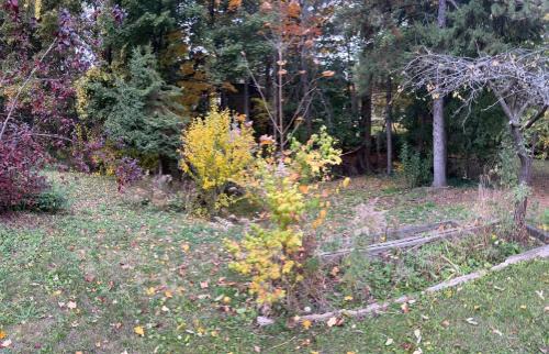 Newtonbrook House | Northwood