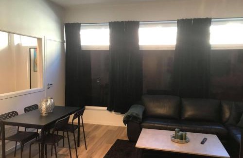 Notodden Apartment | Notodden Sentrum Apartment NO 10