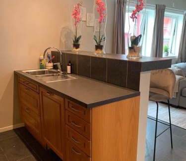 Notodden Apartment | Notodden Sentrum Apartment NO 8