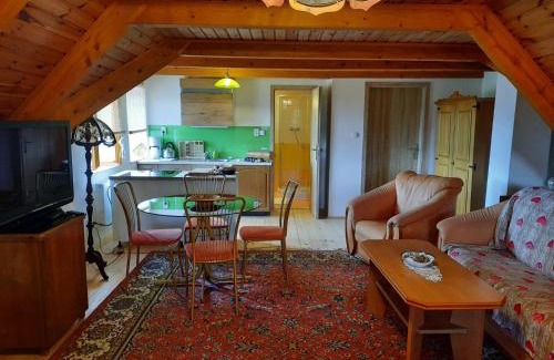Benesov nad Cernou Apartment | Novohradský ráj aneb Oáza klidu na samotě u lesa