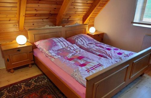 Benesov nad Cernou Apartment | Novohradský ráj aneb Oáza klidu na samotě u lesa