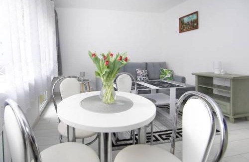 Stronie Slaskie Apartment | Nowakówka 2 sypialnie w centrum Stronia Śląskiego