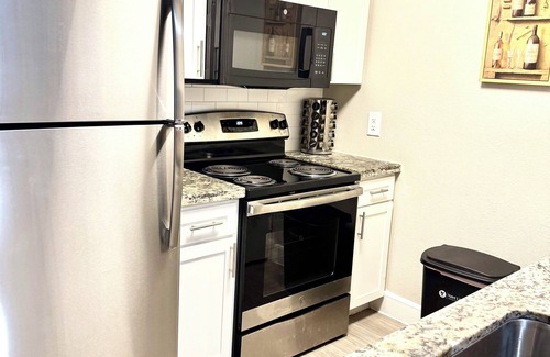 Astrodome Apartment | NRG and Med center 2-bedroom apartment with WiFi, AC in welcoming Houston
