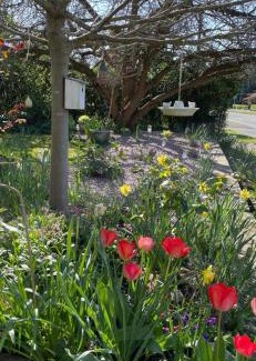 Sutton Weaver House | Number 78 Guest house M56 junction 12 located 5 minutes drive from Frodsham Continental breakfast Included