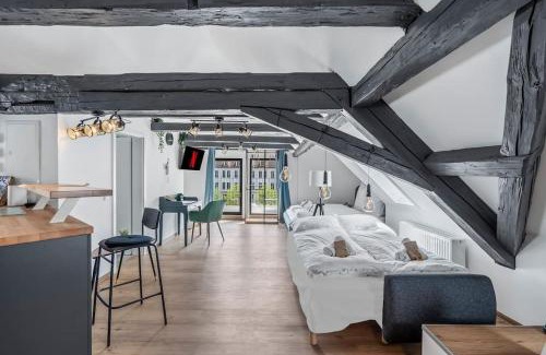 Ansbach Apartment | NUVANA FLATS - Loft 522 Dachterrasse mit Altstadtflair
