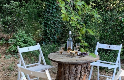Bagnols-sur-Ceze House | Ô Soleil de Bagnols, gite with private pool, pets welcome
