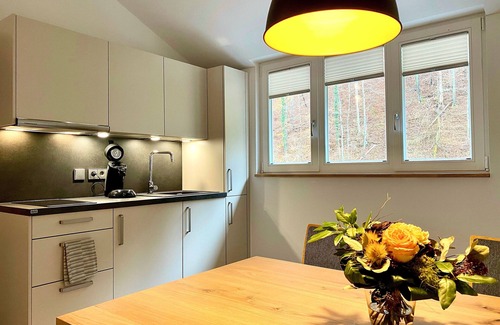 Hassmersheim Apartment | Oak - Siegelsbacher Mühle