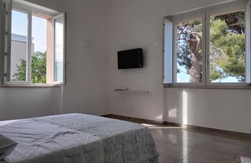Larino House | Oasi