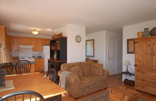 Belfast Cottage | Ocean-front gem on large, private lot.