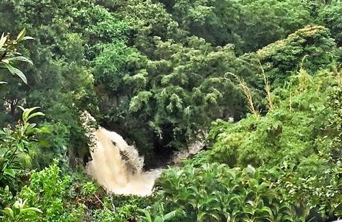 Pauwela Cottage | Ocean View Cabin located on Organic Coffee Farm with Hiking Trails