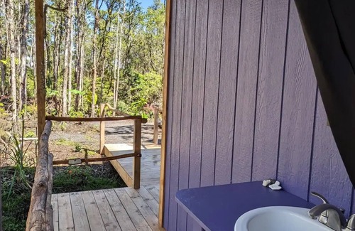 Fern Forest Cabin | Off-Grid Rainforest Retreatnn