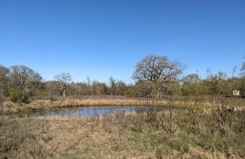 Cameron House | Old Oak Ranch