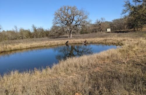 Cameron House | Old Oak Ranch