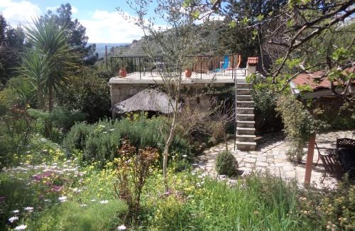 Lemona House | Oleander Stone House