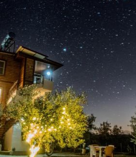 Zeytinli Other | Oli Camping & Bungalows