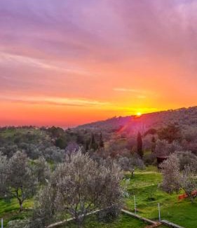 Zeytinli Other | Oli Camping & Bungalows