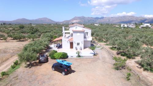 Voia House | Olive Tree House II
