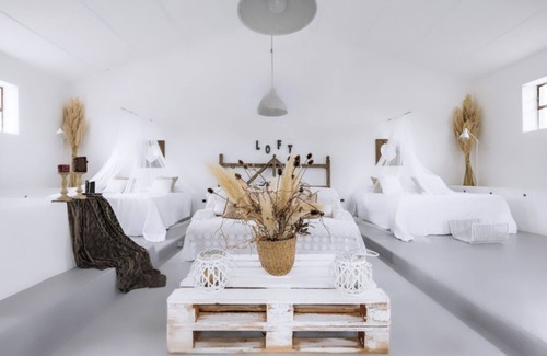 Celleno Other | Olives and Barrels. The authentic countryside villa at the border with Tuscany