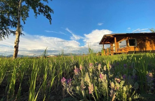 Whitehorse Cabin | Oma and Opa's Northern Lights Cabin