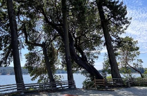 Sooke Cottage | One Bedroom Cottage on Waterfront Property with Beach Access - Sleeps 4