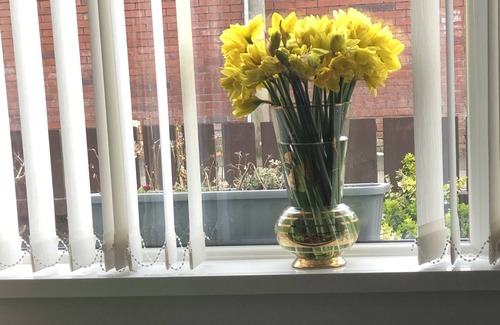 Lisburn House | One min from M1 motorway ☘️ Pets welcome. fur babies need a staycation too 🐶