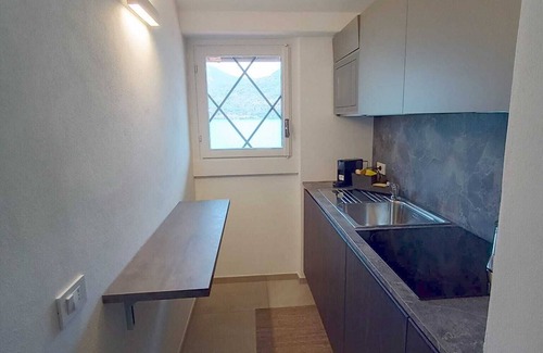 Sensole Apartment | Open space lakefront apartment with pool in Monte Isola