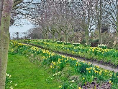 Aldborough House | Orchard Cottage-23895