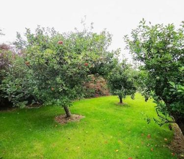 Dingle House | Orchard Cottage