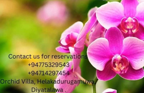 Diyathalawa Apartment | Orchid vila