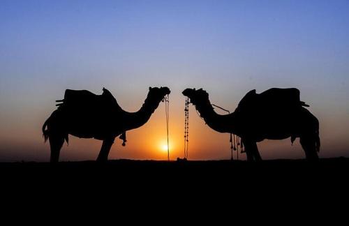 Osian Other | Osian Desert Camp Safari