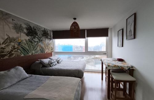 Osorno Apartment | Osorno studio apartment