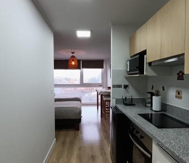 Osorno Apartment | Osorno studio apartment