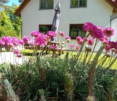 Steffenshagen Apartment | Ostwind - ferienwohnungen & meer