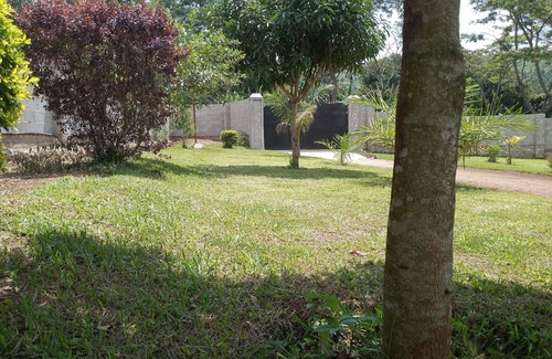 Mukono House | Out of town bungalow with a large green compound, trees and outdoor space