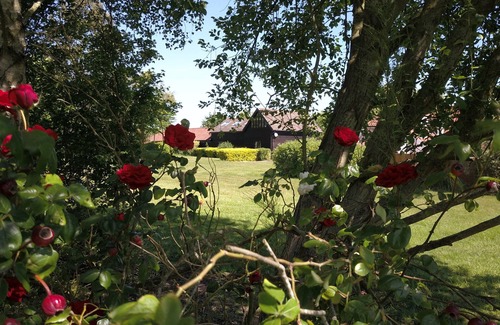 Woodbridge House | Owls Nest - Peace and Tranquility near Woodbridge & Framlingham in rural Suffolk