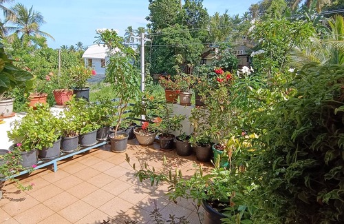 Thiruvananthapuram House | Oyster Marris Homestays in Trivandrum