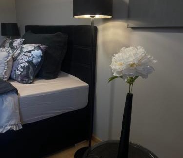 Jekabpils Apartment | OzolApart 2