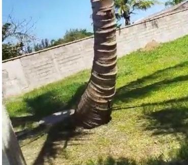 Ilha Comprida House | Pé na areia