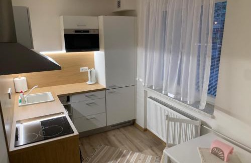 Znojmo Apartment | Přízemí v parku. (Apartment no.8)