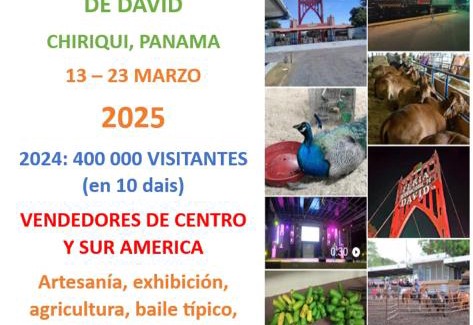 David Hostel | PaCasa Hostel
