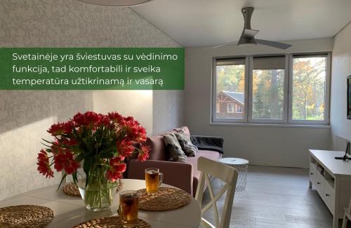 Paluse Apartment | Palūšės Apartment