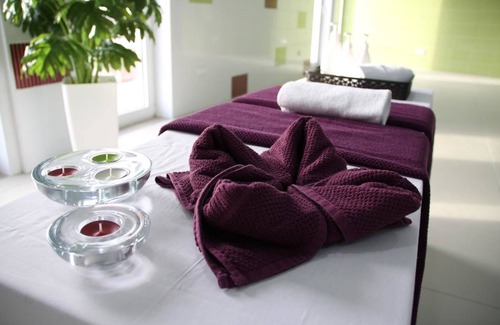 Soure Hotel | Palace Hotel & SPA Termas do Bicanho