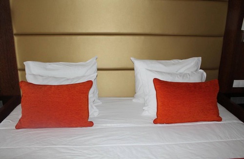 Soure Hotel | Palace Hotel & SPA Termas do Bicanho